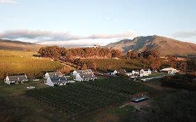 Endless Vineyards At Wildekrans Wine Estate